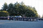Dcim8737/DSC_2772