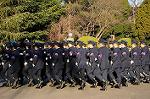 Dcim8738/DSC_2900
