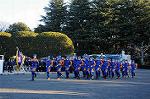 Dcim8738/DSC_2902
