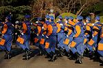 Dcim8738/DSC_2906