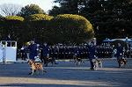 Dcim8738/DSC_2918