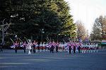 Dcim8738/DSC_2923