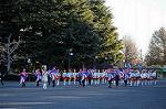 Dcim8738/DSC_2925