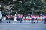 Dcim8738/DSC_2927