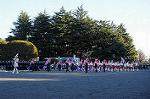 Dcim8738/DSC_2928