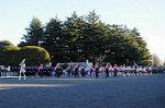 Dcim8738/DSC_2929