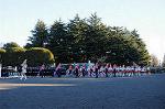 Dcim8738/DSC_2930