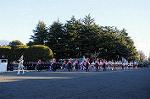 Dcim8738/DSC_2931
