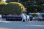 Dcim8739/DSC_2961