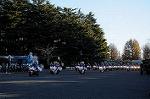 Dcim8739/DSC_3000