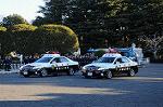 Dcim8739/DSC_3083