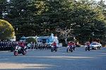 Dcim8740/DSC_3153