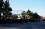Dcim8741/DSC_3386