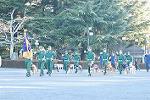 Dcim8742/DSC_1211
