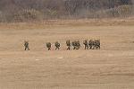 Dcim8752/DSC_4424