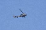 Dcim8752/DSC_4437