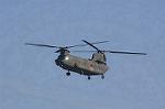 Dcim8752/DSC_4482