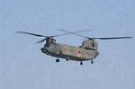 Dcim8752/DSC_4485