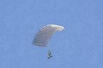 Dcim8752/DSC_4501