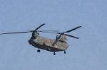 Dcim8753/DSC_4554