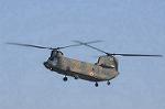 Dcim8753/DSC_4557