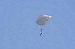 Dcim8753/DSC_4596