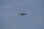 Dcim8753/DSC_4679