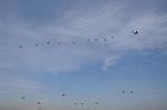 Dcim8754/DSC_4783