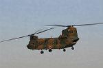 Dcim8758/DSC_5409