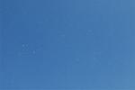Dcim8759/DSC_1410
