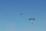 Dcim8759/DSC_1413