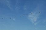 Dcim8759/DSC_1434