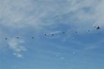 Dcim8759/DSC_1472
