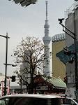 DSC01601