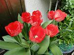DSC01640