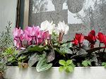DSC01649