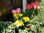 DSC01666