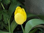 DSC01680