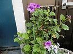 DSC01732