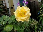 DSC01759
