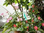 DSC01811
