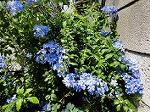 DSC01906