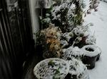 DSC02163
