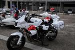 Dcim8775/DSC_6684