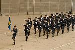 Dcim8777/DSC_1551