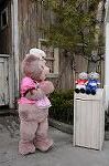 Dcim8780/DSC_7211