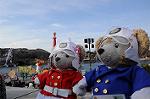 Dcim8780/DSC_7284