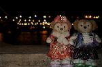 Dcim8789/DSC_8223