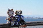 Dcim8791/DSC_8273