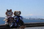 Dcim8791/DSC_8274